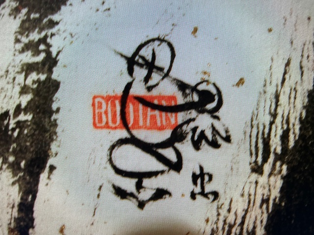 bootan-04