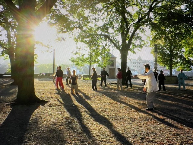 lindenhof-03